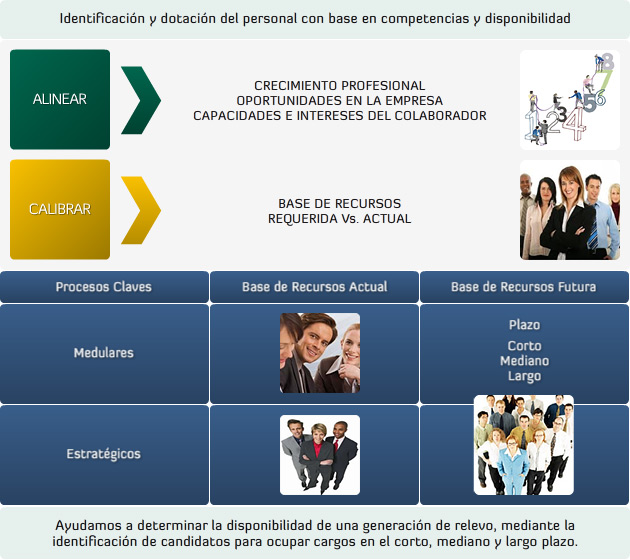 Plan de Sucesión